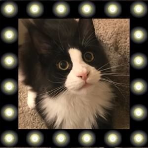 Meet your Posher, Cari